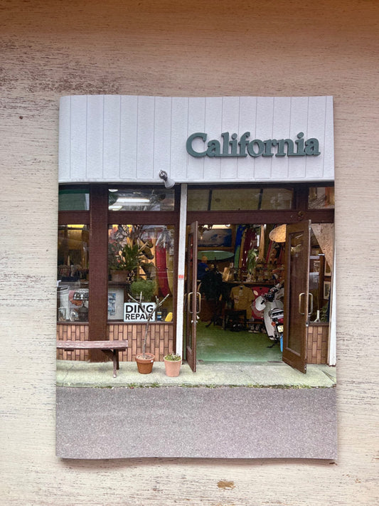 CALIFORNIA GENERAL ZINE