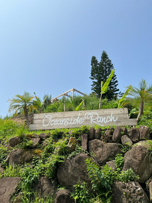 宮崎サーフトリップ 噂のOCEANSIDE RANCHへ
