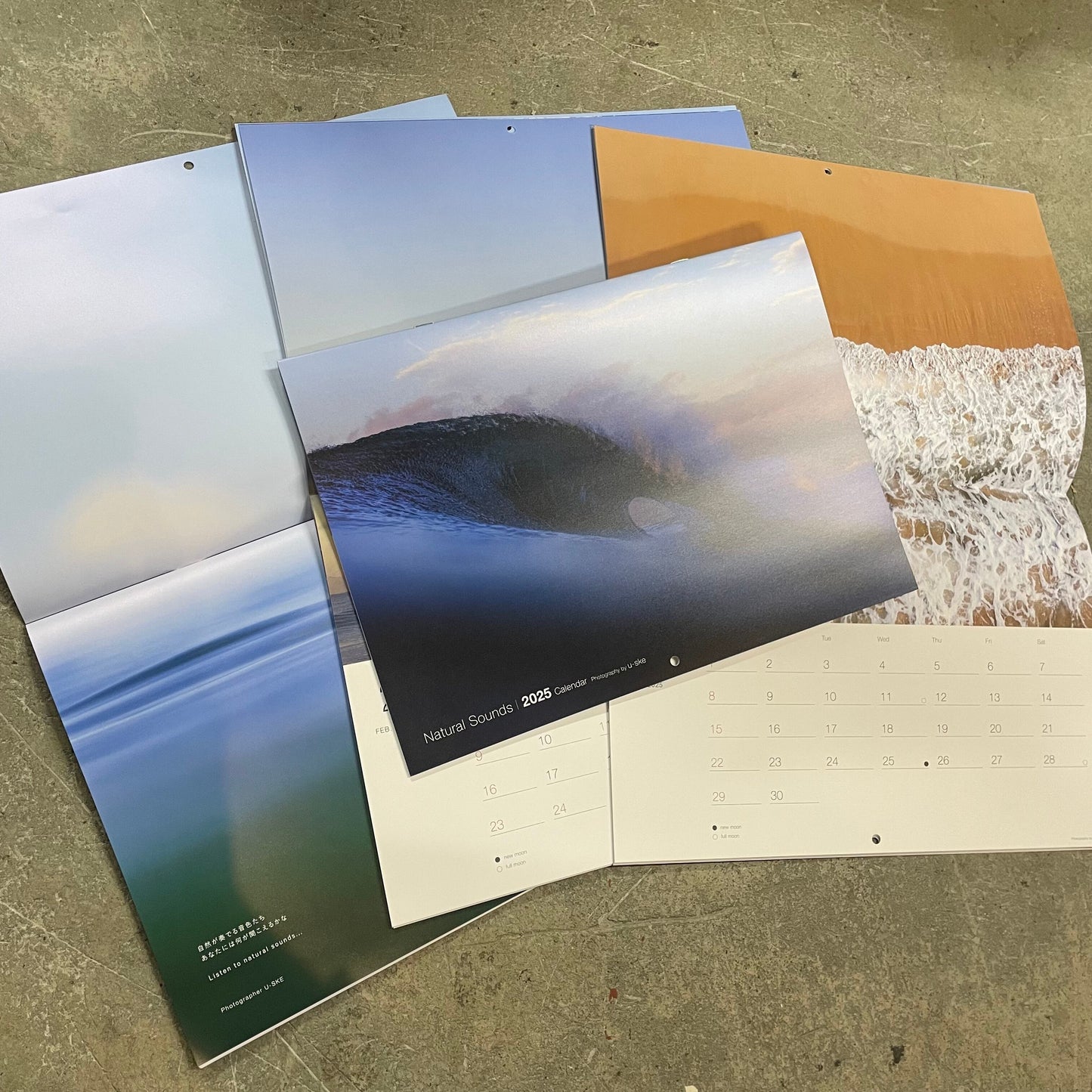 Natural Sounds 2025 Calendar by u-ske
