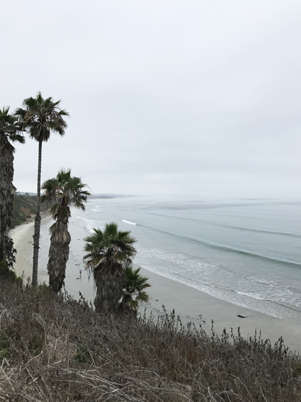 brine california trip surf swamis