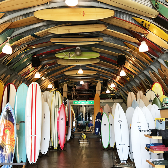 brine california trip surf shop birds shed san diego