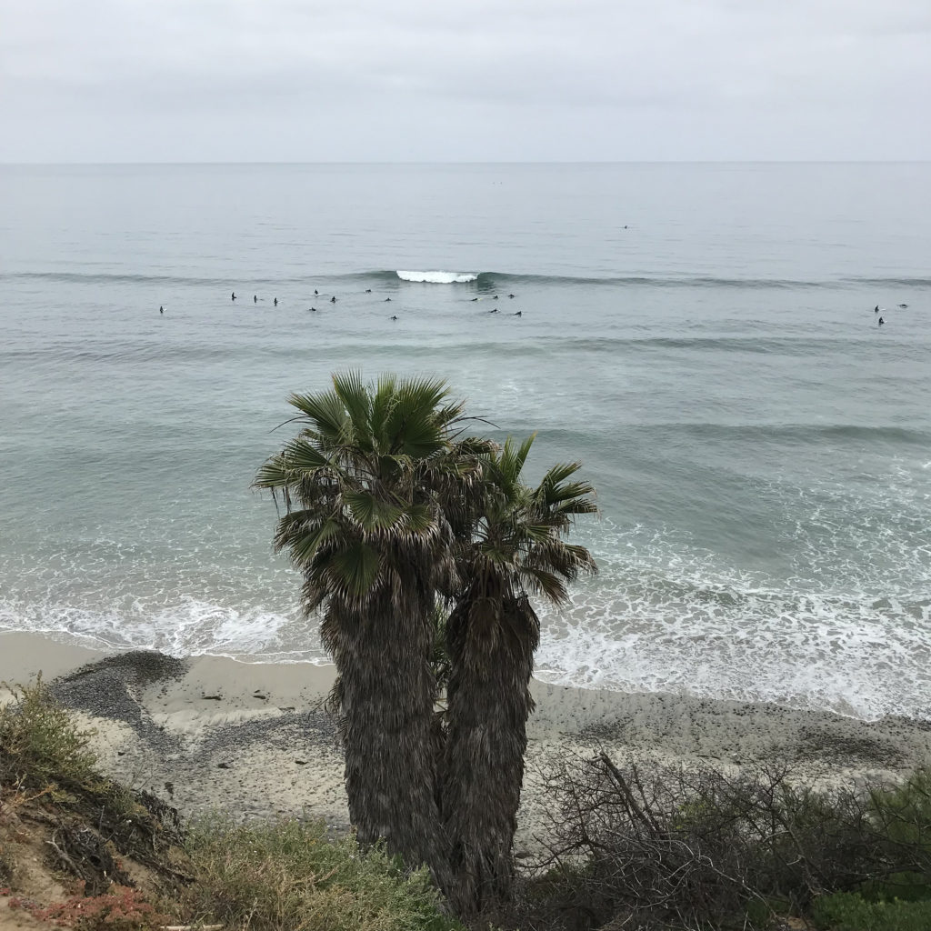 ブライン　カリフォルニア　トリップ　パイプス　エンシニータス　brine surf shop california 
