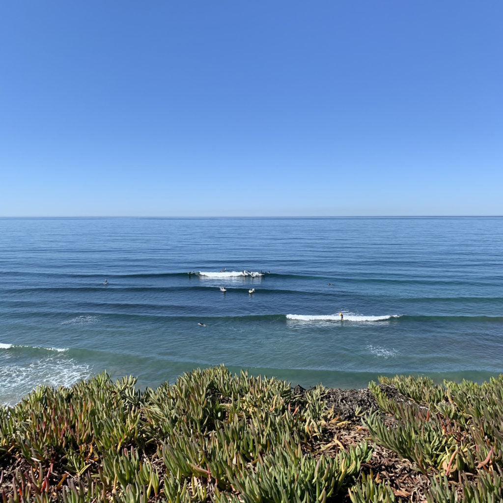 BRINE CA TOUR 2019 vol.1