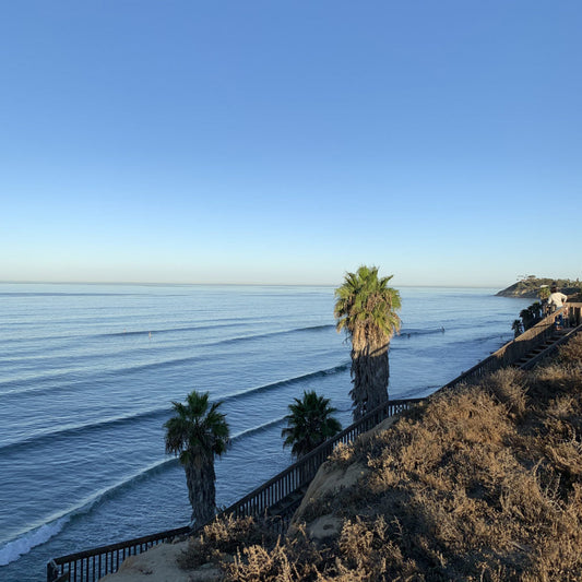 BRINE CA TOUR 2019 vol.5