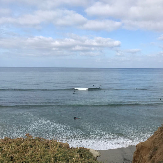 California trip 2019 vol.2