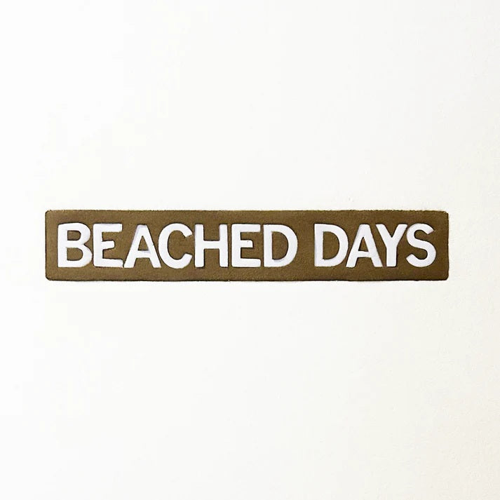 BEACHEDDAYS/ビーチドデイズ　AQUATIC DIVISION THE CLIFF BOX LOGO
