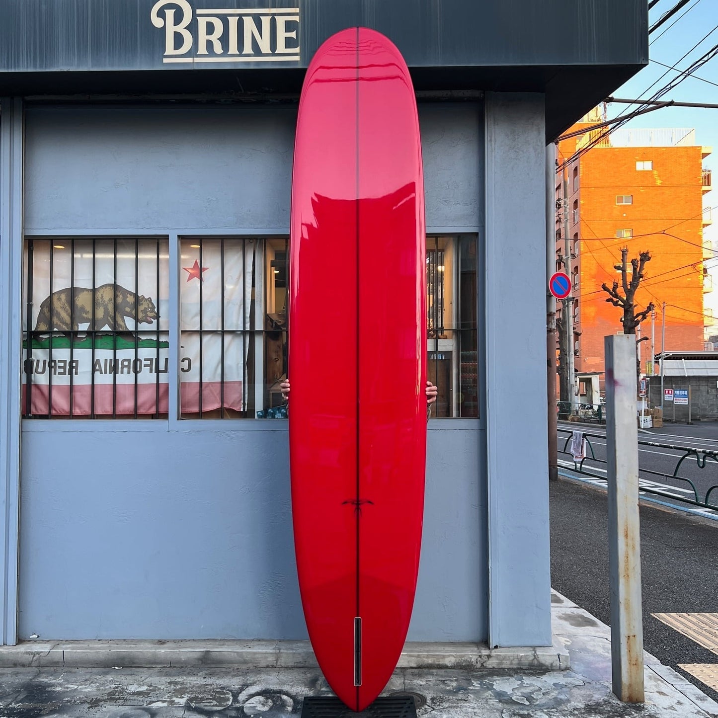 Hawaiian Pro Designs / ハワイアンプロデザイン　DOUBLE ENDER 9'6"